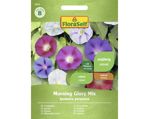 Blumensamen FloraSelf Prunkwinde 'Morning Glory Mischung'