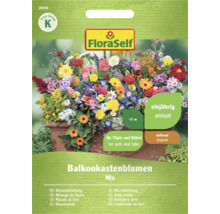 FloraSelf Balkonkastenblumen Mix, einjährige Blumenmischung für Töpfe und Kübel