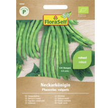 Samenpackung Stangenbohnen Neckarkönigin