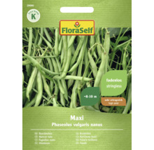 Samenpackung für Maxi Buschbohnen von FloraSelf