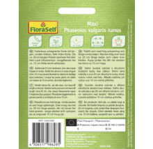 Samenpackung für Phaseolus vulgaris nanus, eine frühe Sorte mit langen, runden Hülsen für den Anbau im Freien.