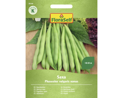 Gemüsesamen FloraSelf Buschbohnen 'Saxa'