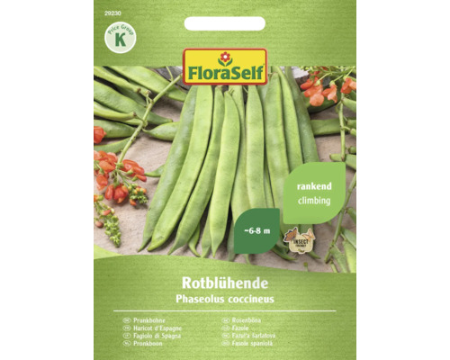 Gemüsesamen FloraSelf Prunkbohne 'Rotblühende'