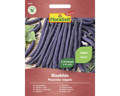 Gemüsesamen FloraSelf Select Stangenbohnen 'Blauhilde'