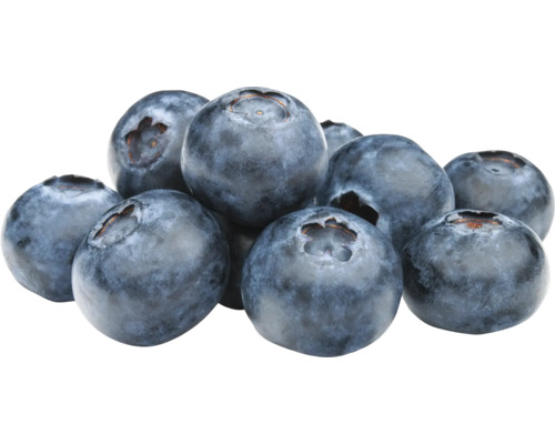 Nahaufnahme von Blaubeeren