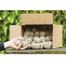 Karton mit Meisenknödeln, gehalten in der Hand