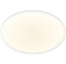 Ovale Deckenleuchte
