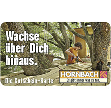 HORNBACH Gutschein verschiedene Motive wählbar (per E-Mailversand)-thumb-38