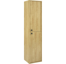 Hoher Holzschrank mit zwei Türen und Griffen