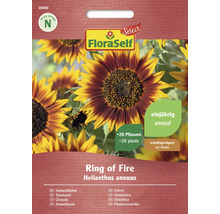 FloraSelf Ring of Fire Sonnenblumen Samenpackung