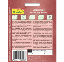Samtkönigin Helianthus annuus Saatgutpackung