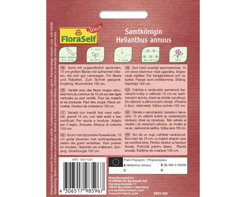 Samtkönigin Helianthus annuus Saatgutpackung