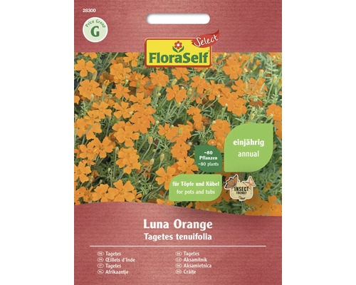 Blumensamen FloraSelf Select kleinblütige Studentenblume Tagetes tenuifolia 'Luna Orange'