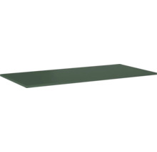 Waschtischplatte Jungborn 100,8x46 cm Forrest grün