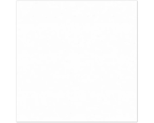 PICCANTE Dekorkante White HG C974 44x650 mm (2 Stück) Leeres Bild