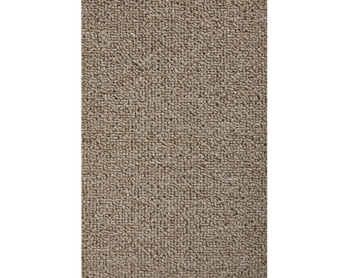 Teppichboden Schlinge Rambo beige FB70 500 cm breit (Meterware) Nahaufnahme eines Teppichs