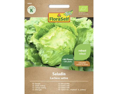 Gemüsesamen Salatsamen FloraSelf Bio Eisbergsalat 'Saladin'