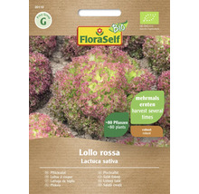 FloraSelf Lollo Rossa Pflücksalat-Samenpackung