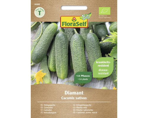 Gemüsesamen FloraSelf Bio Einlegegurke 'Diamant'