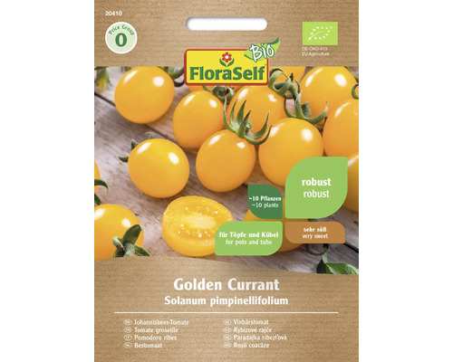 Gemüsesamen FloraSelf Bio Tomate 'Golden Currant'