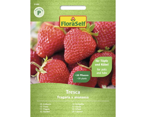Gemüsesamen FloraSelf Erdbeere 'Tresca'