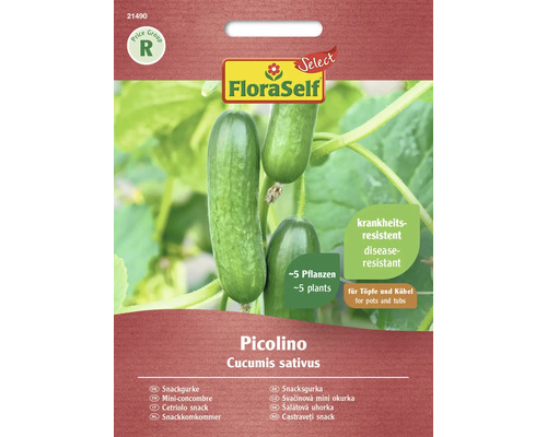 Gemüsesamen FloraSelf Select Gurke 'Picolino F1'