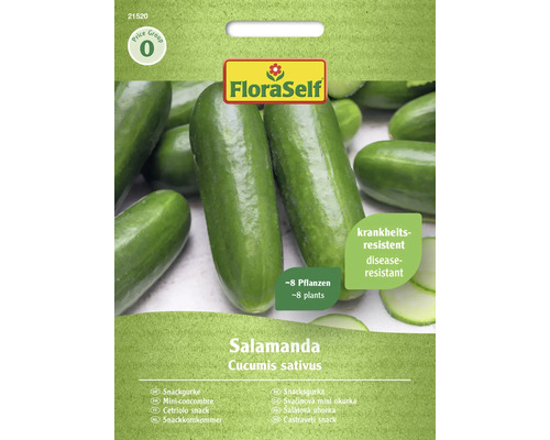 Gemüsesamen FloraSelf Gurke 'Salamanda F1'