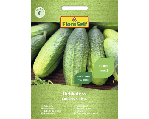 Gemüsesamen FloraSelf Salatgurke 'Delikatess'