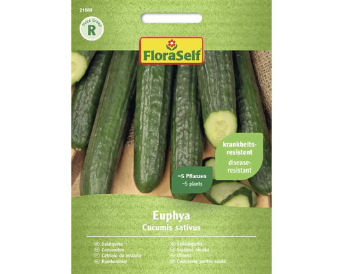 Gemüsesamen FloraSelf Salatgurke 'Euphya F1'