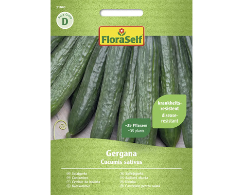 Gemüsesamen FloraSelf Salatgurke 'Gergana'