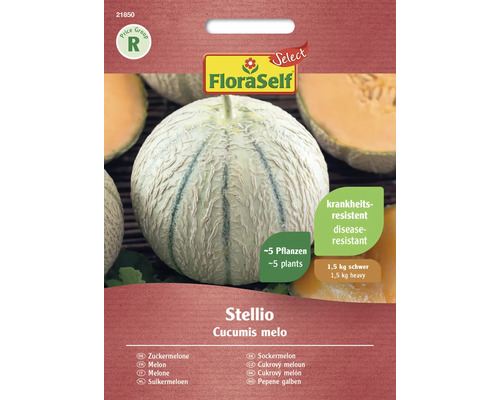 Gemüsesamen FloraSelf Select Zuckermelone 'Stellio F1'