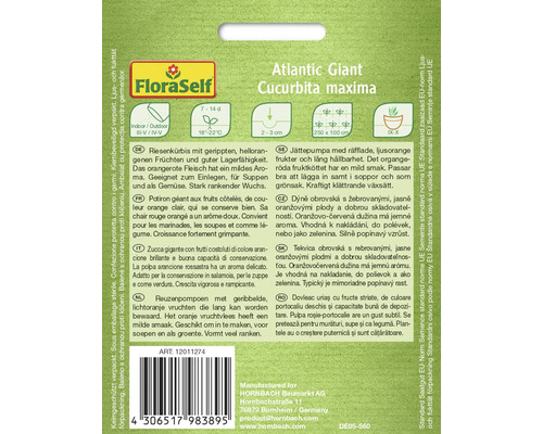 FloraSelf Atlantic Giant Kürbis Samenpackung