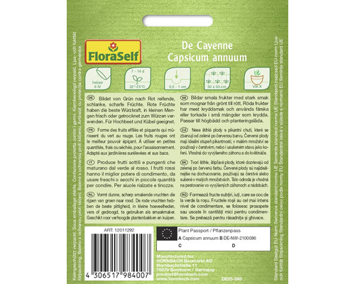 Cayennepfeffer der Art Capsicum annuum, bildet schlanke, scharfe Früchte, die von Grün nach Rot reifen.