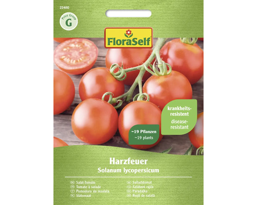 Gemüsesamen FloraSelf Tomate 'Harzfeuer F1'
