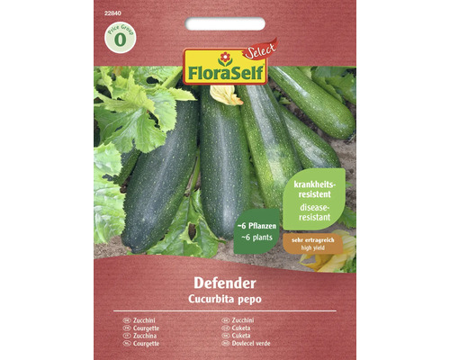 Gemüsesamen FloraSelf Select Zucchini 'Defender F1'
