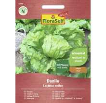 FloraSelf Danilo Eissalat Saatgutpackung, ausreichend für circa 60 Pflanzen