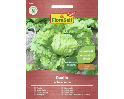 Gemüsesamen Salatsamen FloraSelf Select Eisbergsalat 'Danilo'