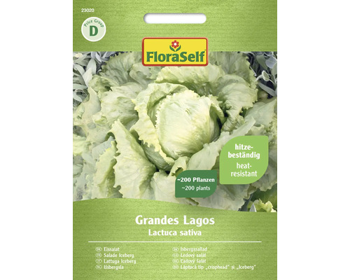 Gemüsesamen Salatsamen FloraSelf Eisbergsalat 'Grandes Lagos'