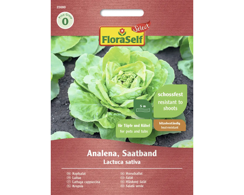 Salatsamen Saatband FloraSelf Select Kopfsalat 'Analena'