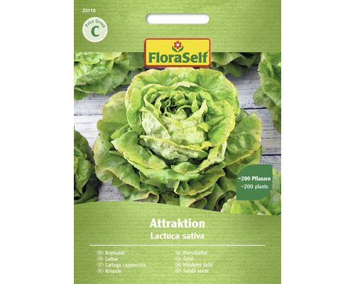 Salatsamen FloraSelf Kopfsalat 'Attraktion'