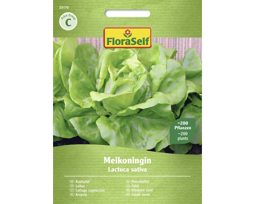 Salatsamen FloraSelf Kopfsalat 'Meikoningin'