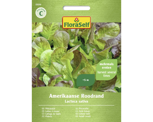 Salatsamen FloraSelf Schnittsalat/Pflücksalat 'Amerikaanse Roodrand'