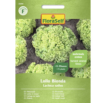 FloraSelf Lollo Bionda Pflücksalat Samen für circa 75 Pflanzen