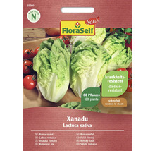 FloraSelf Xanadu Romanasalat Samen für circa 80 Pflanzen