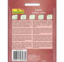 Samenpackung Mini Romanasalat Xanadu Lactuca sativa