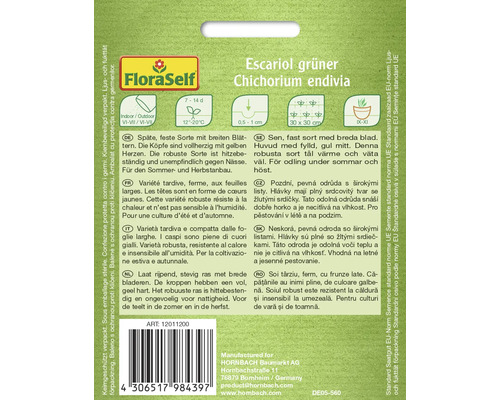 Escarole grüner Endiviensamenpackung