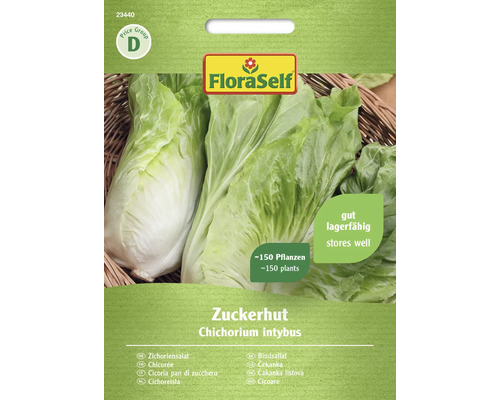 Salatsamen FloraSelf Zichoriensalat 'Zuckerhut'