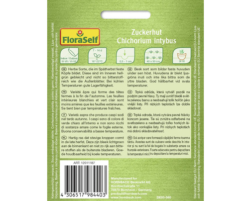 Zuckerhut Chichorium intybus Samenpackung