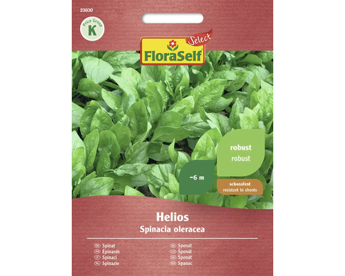 Gemüsesamen FloraSelf Select Spinat ' Helios F1'