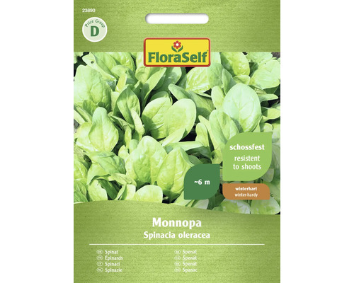 Gemüsesamen FloraSelf Spinat 'Monnopa'